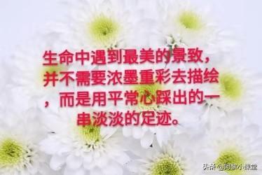 中学生金句