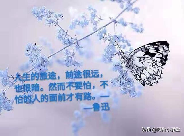 中学生金句
