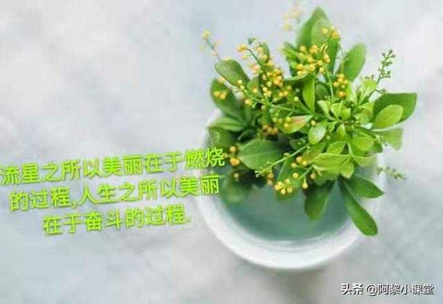 中学生金句