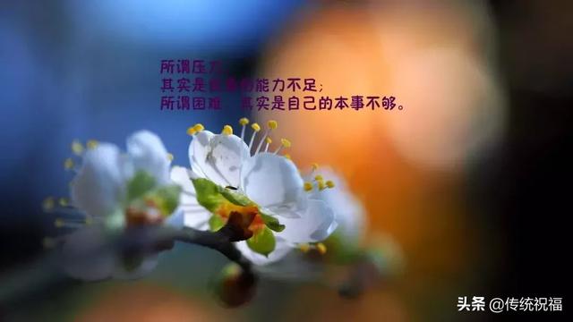 微商正能量句子 微商正能量句子