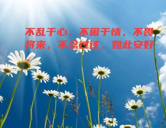 励志语录经典长句 励志语录经典长句