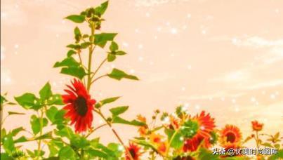 励志努力的文案