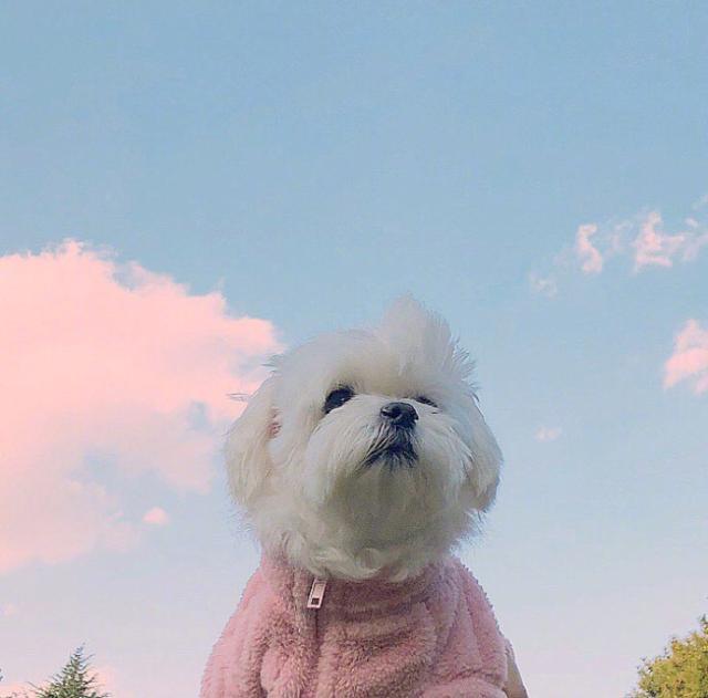 致拼搏励志的句子