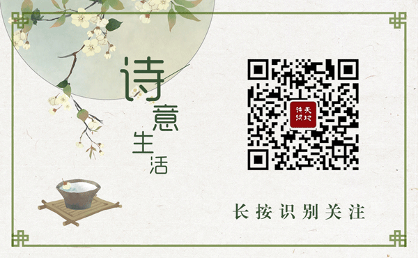 早读丨守一方高山流水,泊一片淡雅心境