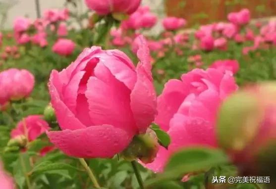太漂亮了，人美，歌甜，图美，话美，送给最在乎我的人！