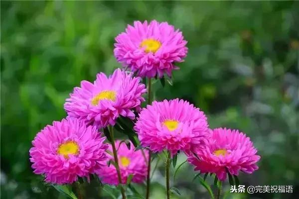 太漂亮了，人美，歌甜，图美，话美，送给最在乎我的人！