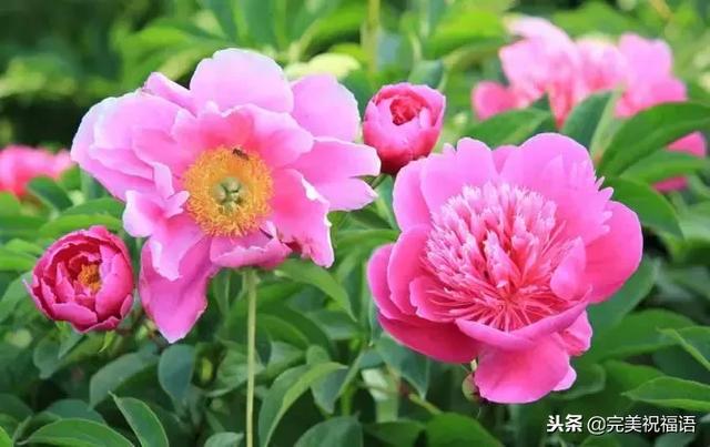 太漂亮了，人美，歌甜，图美，话美，送给最在乎我的人！