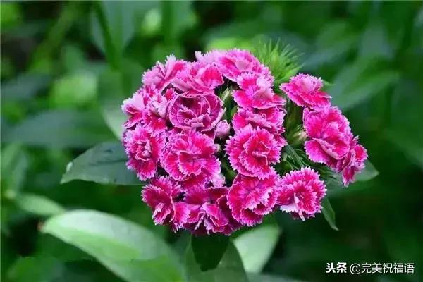 太漂亮了，人美，歌甜，图美，话美，送给最在乎我的人！