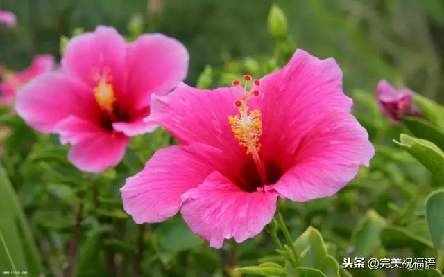 太漂亮了，人美，歌甜，图美，话美，送给最在乎我的人！