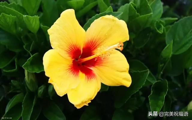 太漂亮了，人美，歌甜，图美，话美，送给最在乎我的人！