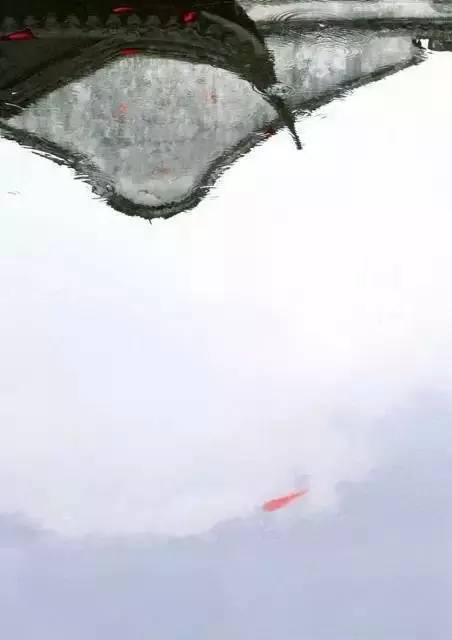 一袭江南梦,醉卧烟雨中!