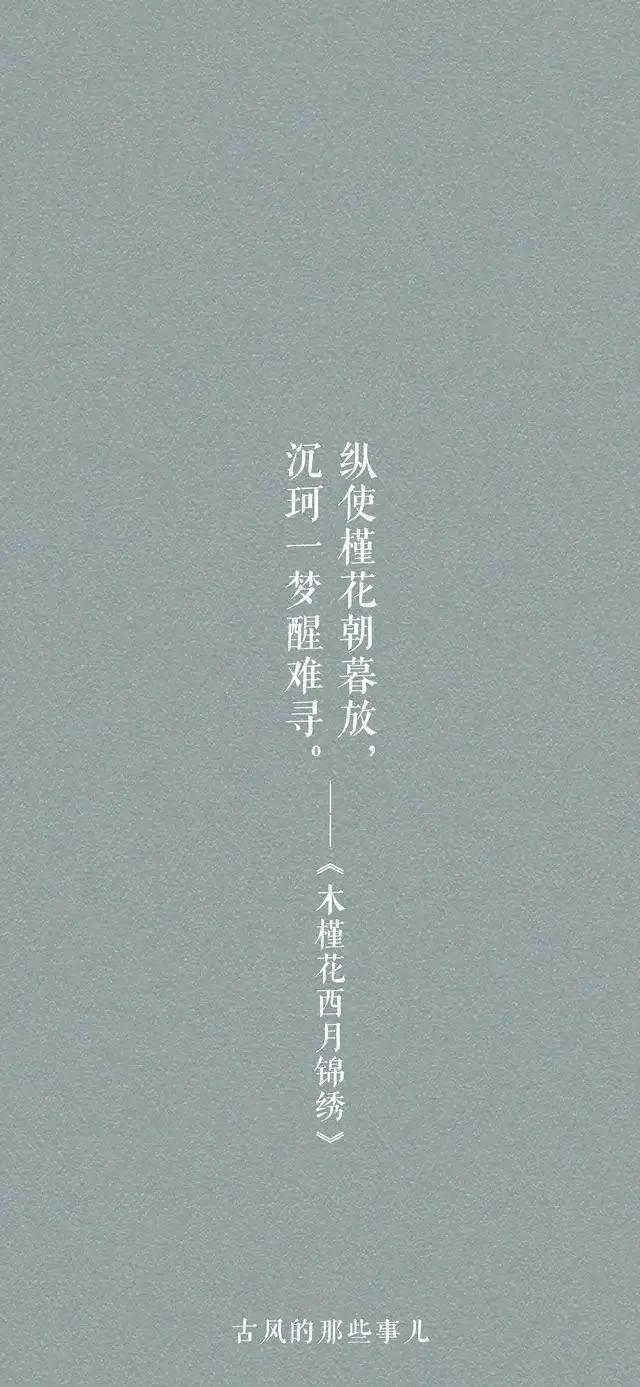 古风小说中有哪些美的像诗一样的唯美句子