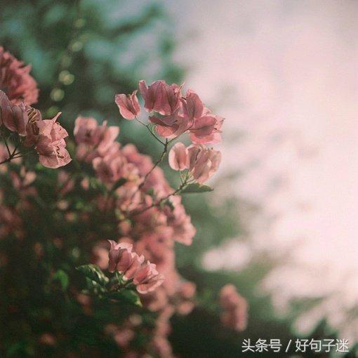 唯美虐心的古风句子,选句喜欢的做个性签名吧!