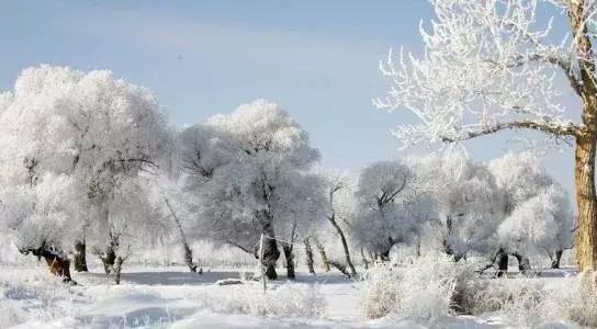 温馨提示下雪天的句子 温馨提示下雪天的句子