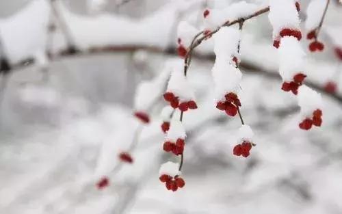 温馨提示下雪天的句子 温馨提示下雪天的句子