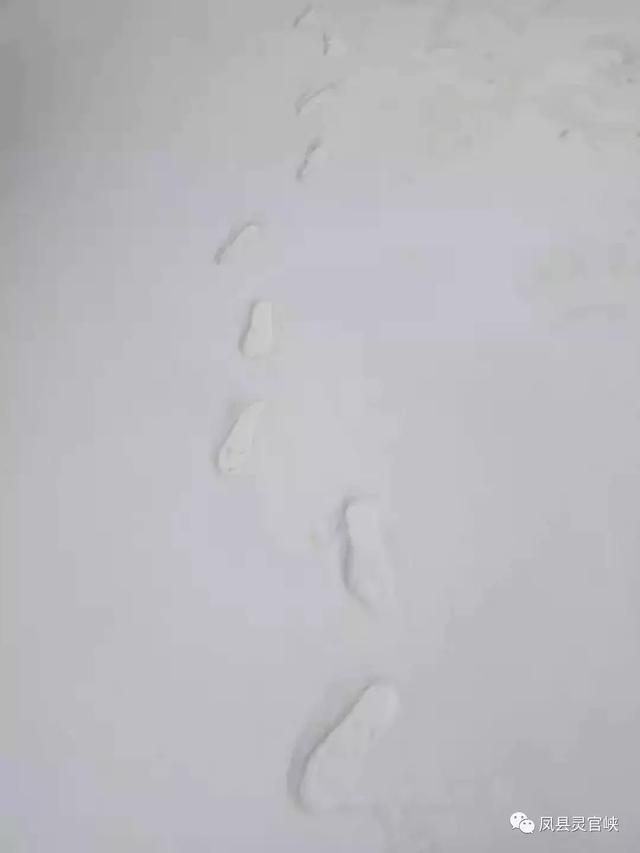温馨提示下雪天的句子 温馨提示下雪天的句子