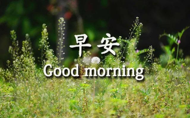 表达想有个温馨的家的句子 表达想有个温馨的家的句子