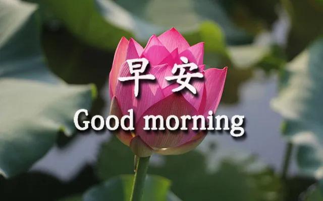 表达想有个温馨的家的句子 表达想有个温馨的家的句子