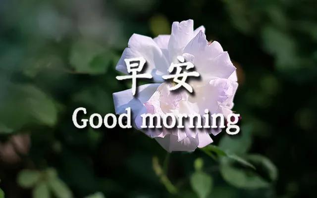 表达想有个温馨的家的句子 表达想有个温馨的家的句子