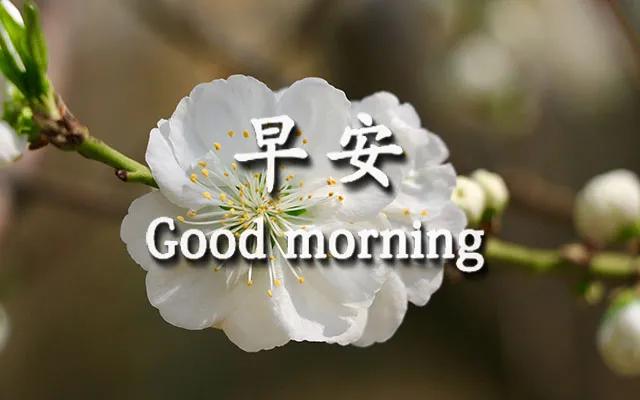 表达想有个温馨的家的句子 表达想有个温馨的家的句子