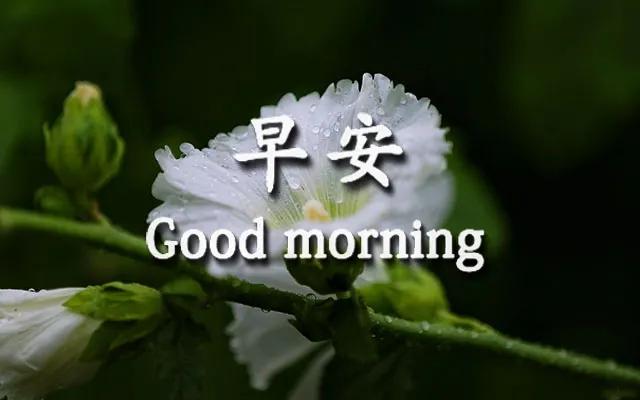 表达想有个温馨的家的句子 表达想有个温馨的家的句子