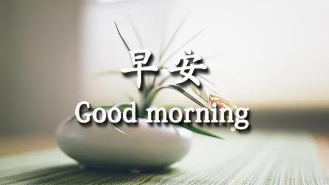 表达想有个温馨的家的句子 表达想有个温馨的家的句子