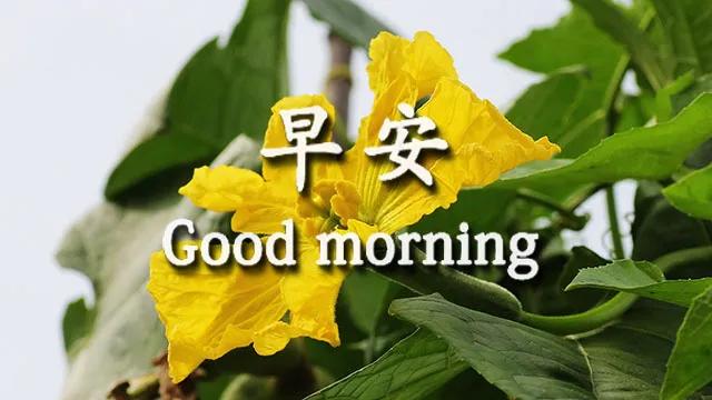 表达想有个温馨的家的句子 表达想有个温馨的家的句子