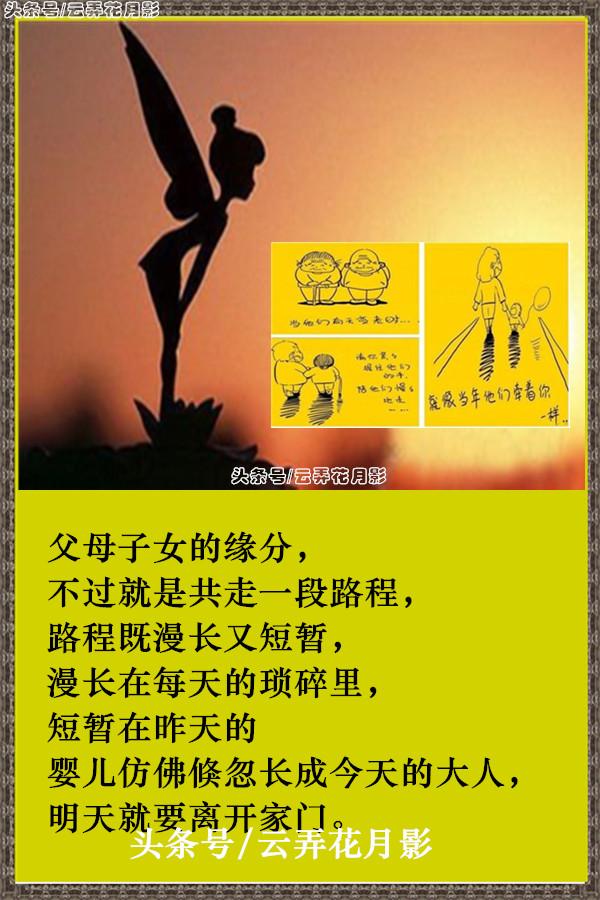 父母子女之间，其实是一场很深很深的缘分