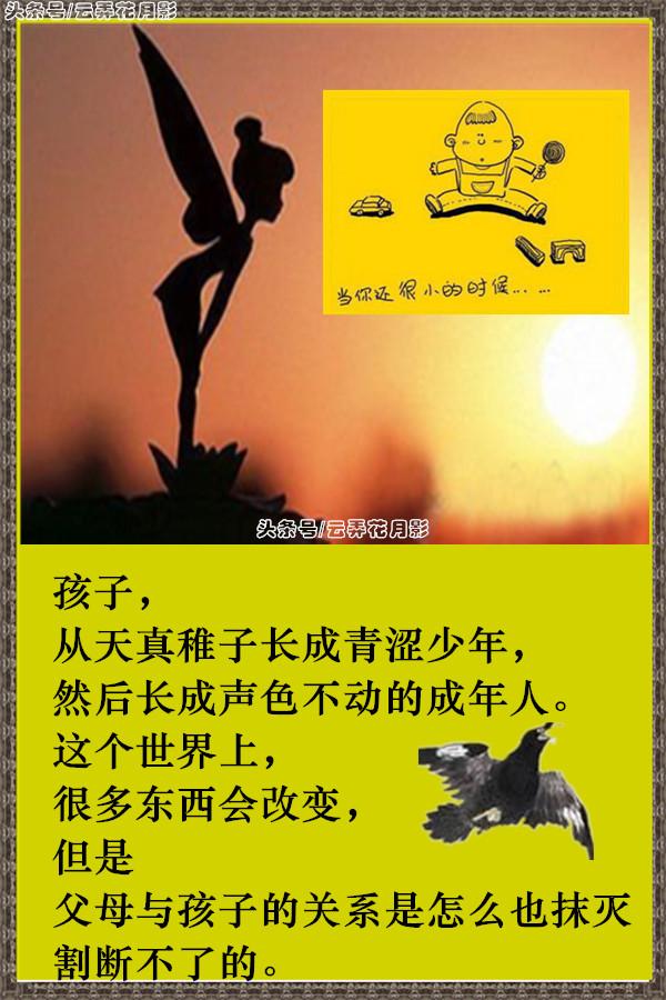 父母子女之间，其实是一场很深很深的缘分