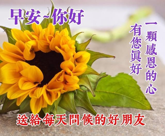 早安初夏温馨句子图片大全 早安初夏温馨句子图片大全