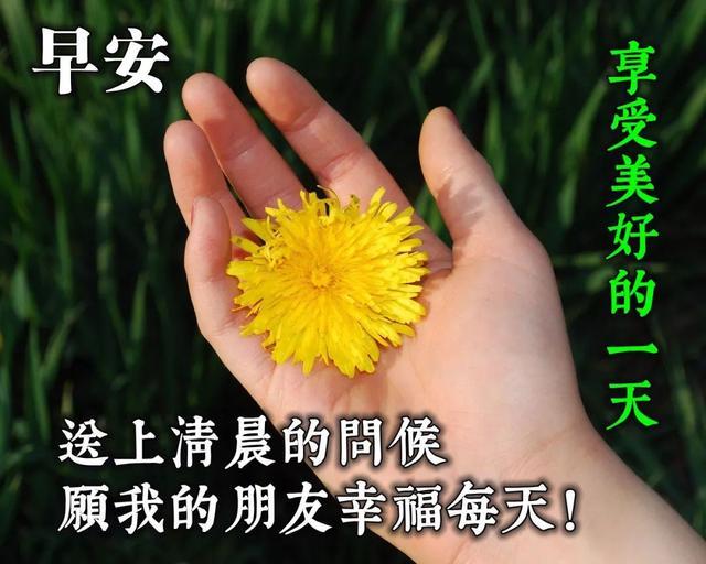 早安初夏温馨句子图片大全 早安初夏温馨句子图片大全