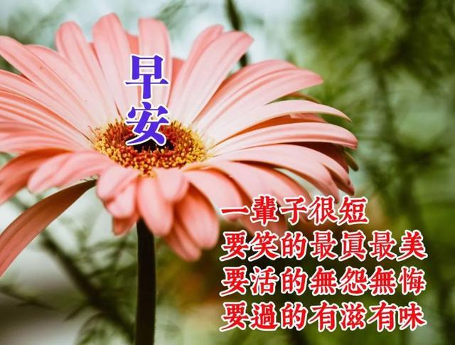早安初夏温馨句子图片大全 早安初夏温馨句子图片大全