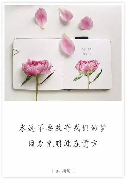 眉头深锁,爱的东西