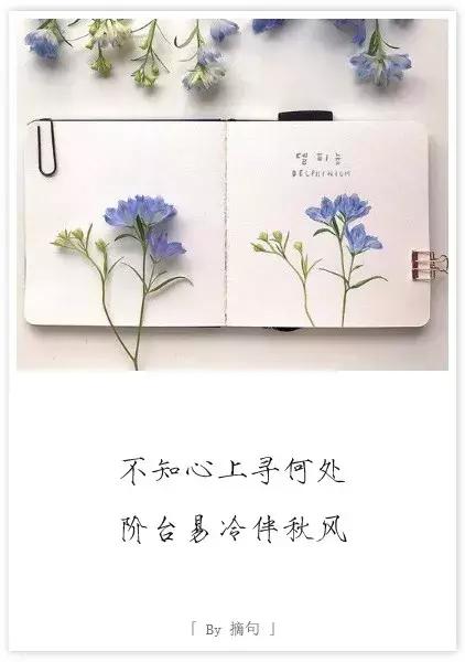 眉头深锁,爱的东西