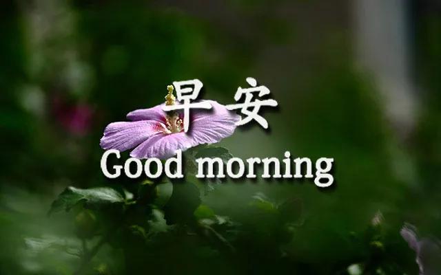 早上好的温馨句子 朋友圈开心 早上好的温馨句子 朋友圈开心