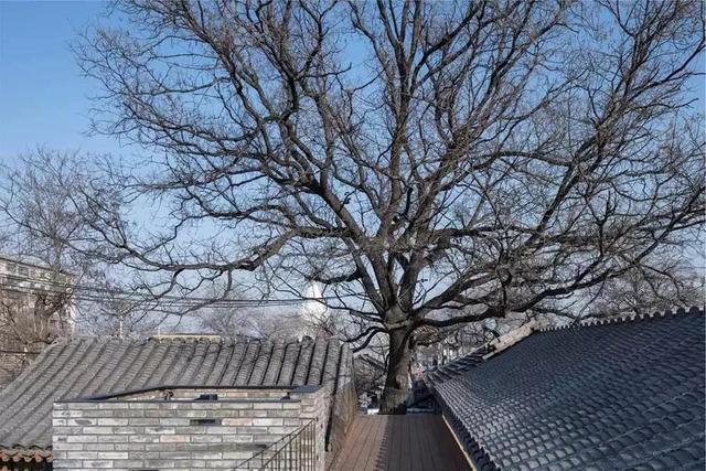 中式四合院,才是最美的院子