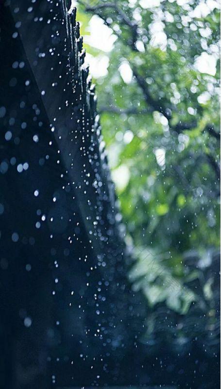 「诗词鉴赏」在夏日中听雨,唯美一段又一段的时光