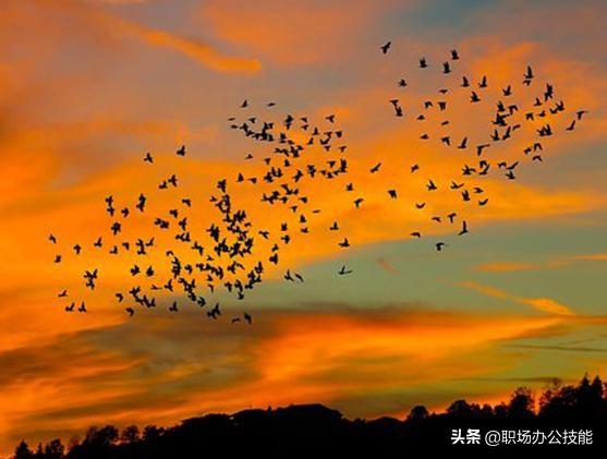 26条适合旅行时发朋友圈的句子,既不让人讨厌,还能引人点赞