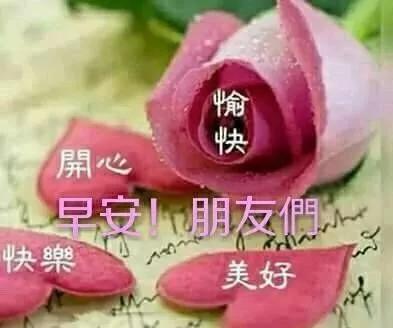 人生相遇,无言心温暖;真诚友谊,不语心相知,早安