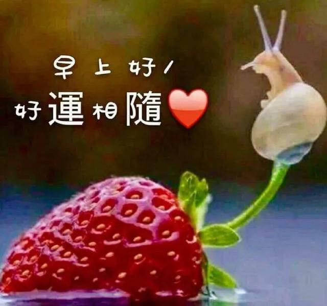 人生相遇,无言心温暖;真诚友谊,不语心相知,早安