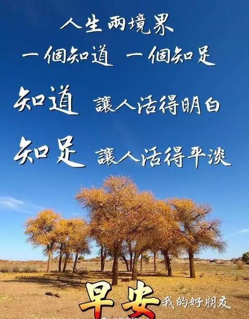 人生相遇,无言心温暖;真诚友谊,不语心相知,早安