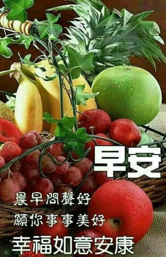 人生相遇,无言心温暖;真诚友谊,不语心相知,早安