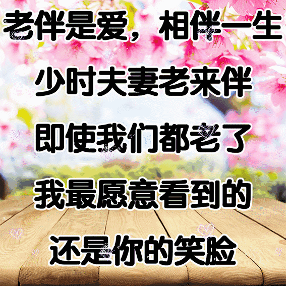 谢谢老伴,有你真好!一生一世,不离不弃,与子执手,一起到老