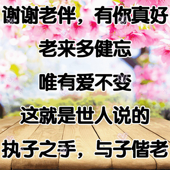 谢谢老伴,有你真好!一生一世,不离不弃,与子执手,一起到老