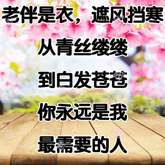 谢谢老伴,有你真好!一生一世,不离不弃,与子执手,一起到老