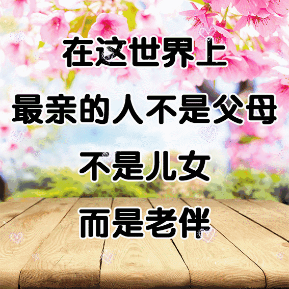 谢谢老伴,有你真好!一生一世,不离不弃,与子执手,一起到老