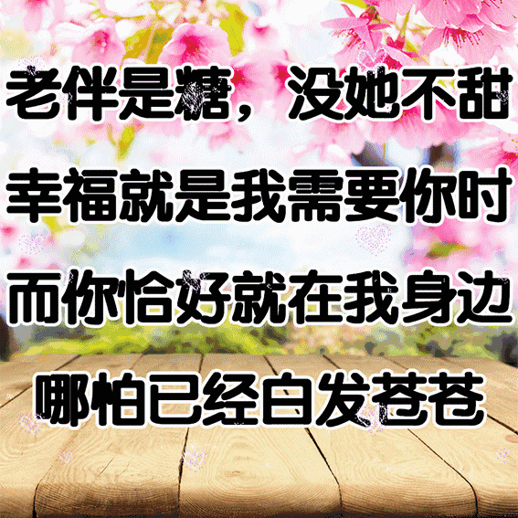 谢谢老伴,有你真好!一生一世,不离不弃,与子执手,一起到老