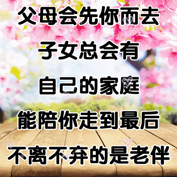 谢谢老伴,有你真好!一生一世,不离不弃,与子执手,一起到老