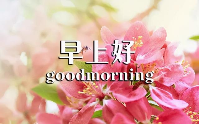 温馨句子朋友圈小朋友 温馨句子朋友圈小朋友