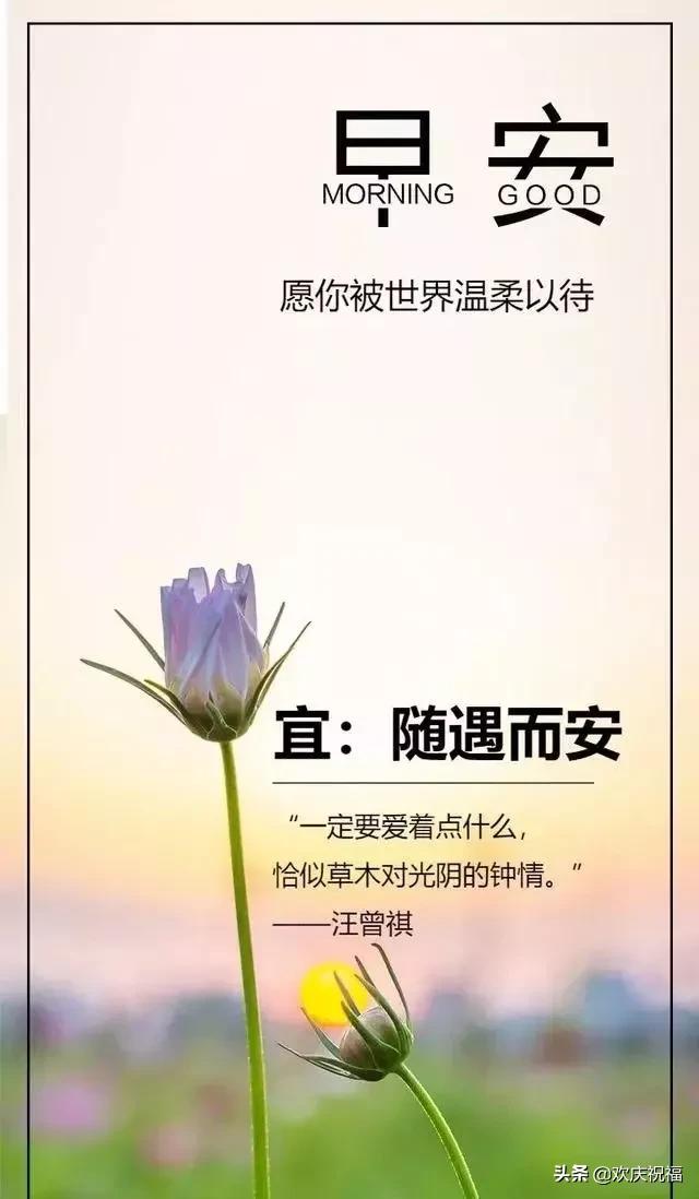 最新版早安励志正能量短句,早安心语唯美句子